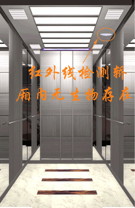 Z6ʱ(й)-ٷվ
